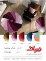 صدف نیم دایره